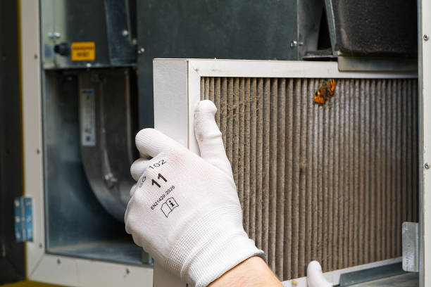 Best Local Air Duct Cleaning Services  in Carolina Beach, NC