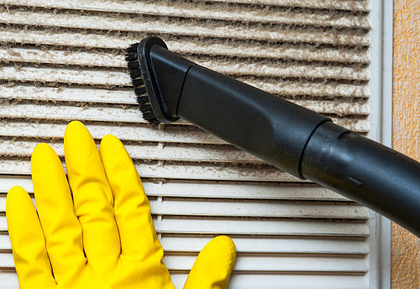 Best Air Duct Sanitizing Services  in Carolina Beach, NC